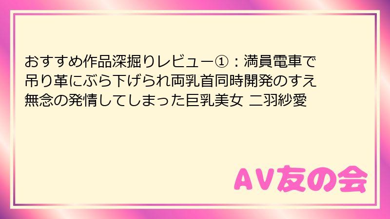 おすすめ作品深掘りレビュー①:満員電車で吊り革にぶら下げられ両乳首同時開発のすえ無念の発情してしまった巨乳美女 二羽紗愛