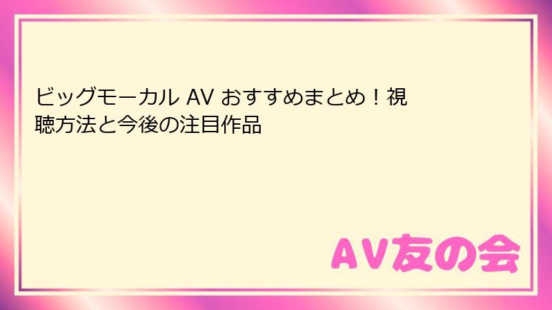 ビッグモーカル AV おすすめまとめ!視聴方法と今後の注目作品