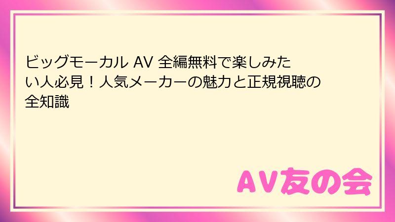 ビッグモーカル AV 全編無料で楽しみたい人必見!人気メーカーの魅力と正規視聴の全知識