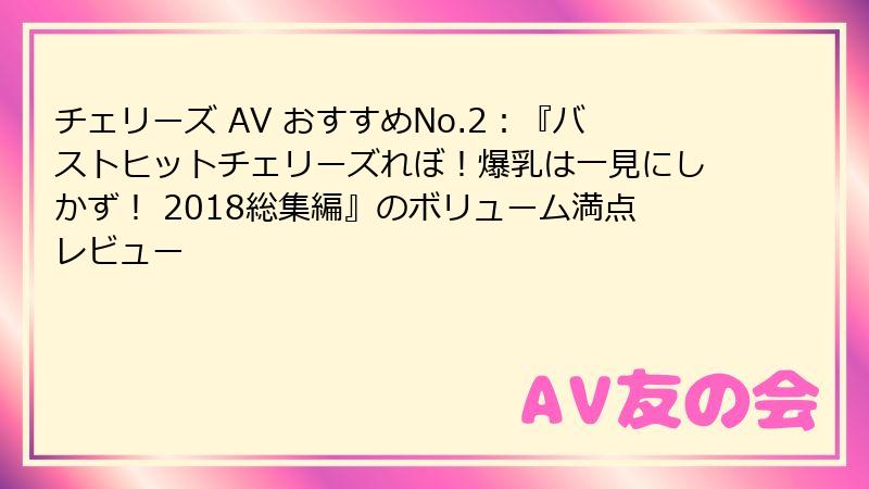 チェリーズ AV おすすめNo.2：『バストヒットチェリーズれぼ！爆乳は一見にしかず！ 2018総集編』のボリューム満点レビュー