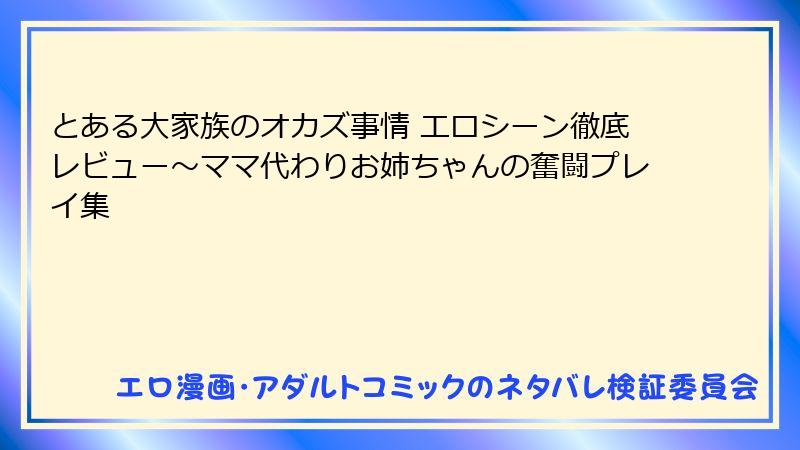とある大家族のオカズ事情 エロシーン徹底レビュー～ママ代わりお姉ちゃんの奮闘プレイ集
