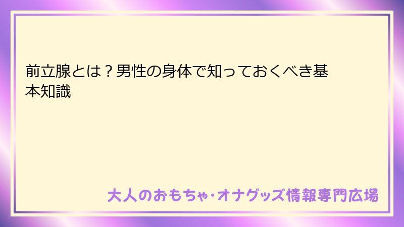 前立腺とは?男性の身体で知っておくべき基本知識