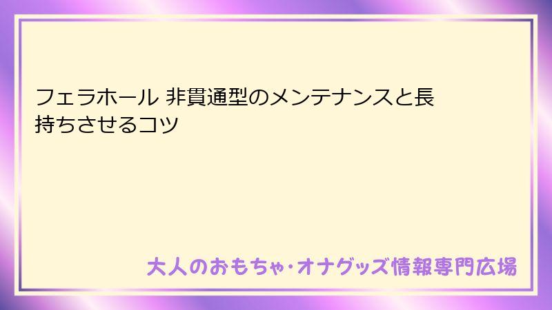 フェラホール 非貫通型のメンテナンスと長持ちさせるコツ