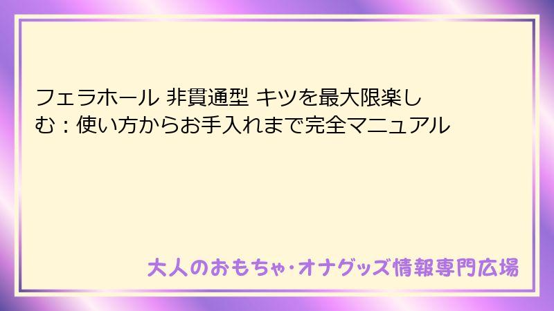 フェラホール 非貫通型 キツを最大限楽しむ:使い方からお手入れまで完全マニュアル