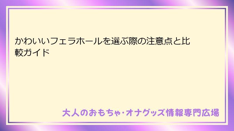 かわいいフェラホールを選ぶ際の注意点と比較ガイド