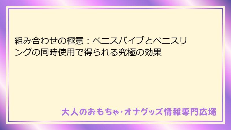 組み合わせの極意：ペニスバイブとペニスリングの同時使用で得られる究極の効果