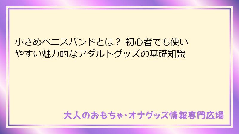 小さめペニスバンドとは？ 初心者でも使いやすい魅力的なアダルトグッズの基礎知識