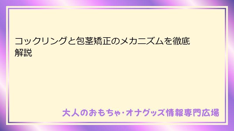 コックリングと包茎矯正のメカニズムを徹底解説