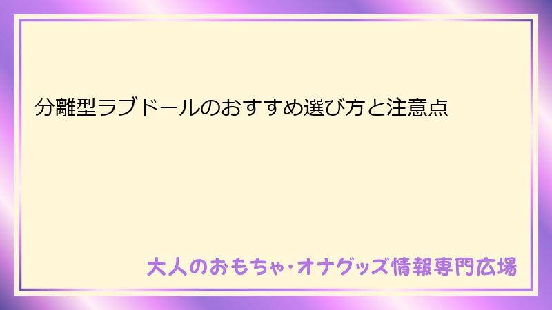 分離型ラブドールのおすすめ選び方と注意点