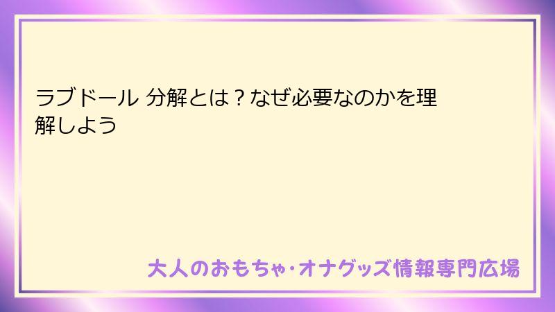 ラブドール 分解とは?なぜ必要なのかを理解しよう