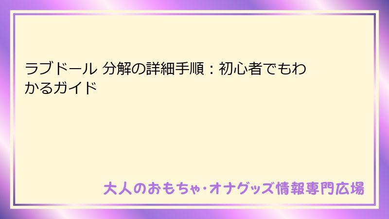 ラブドール 分解の詳細手順:初心者でもわかるガイド