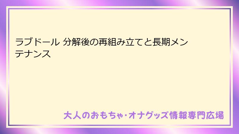 ラブドール 分解後の再組み立てと長期メンテナンス