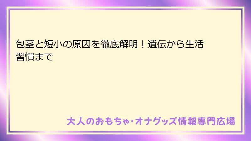 包茎と短小の原因を徹底解明！遺伝から生活習慣まで
