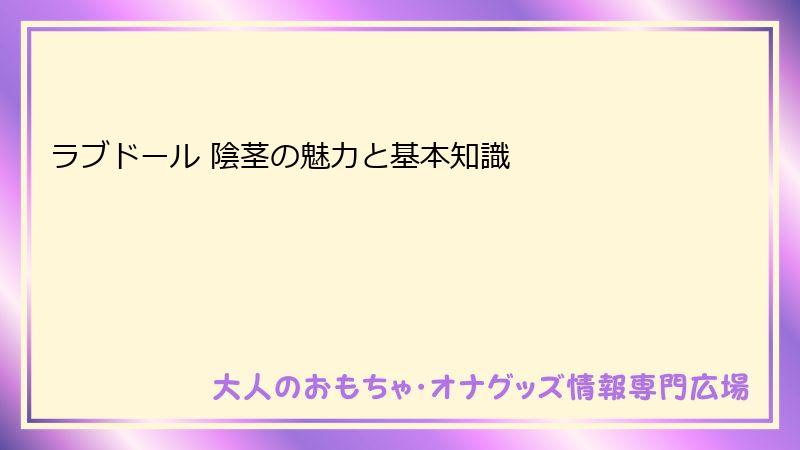 ラブドール 陰茎の魅力と基本知識
