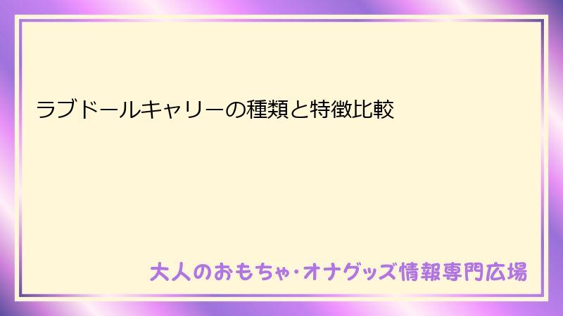 ラブドールキャリーの種類と特徴比較