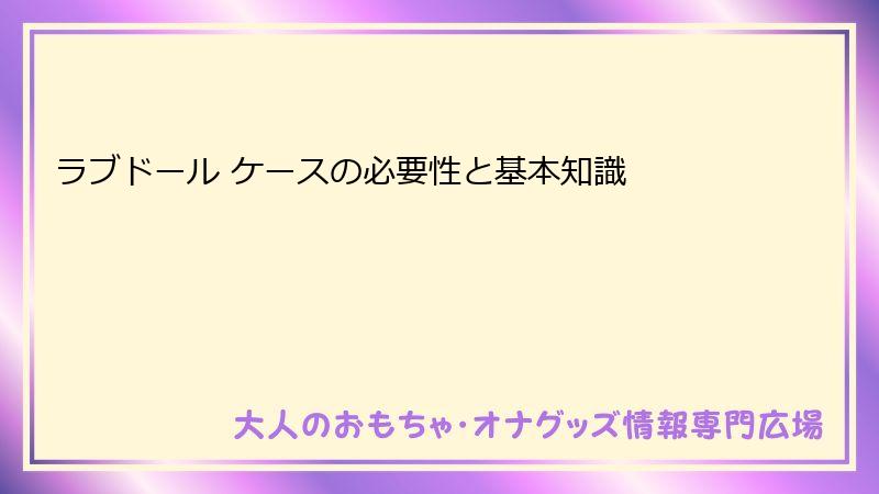 ラブドール ケースの必要性と基本知識