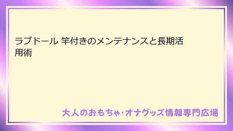 ラブドール 竿付きのメンテナンスと長期活用術