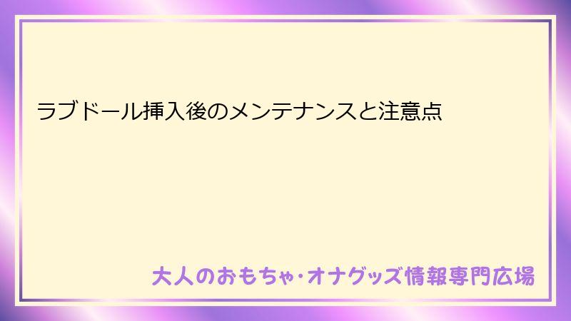 ラブドール挿入後のメンテナンスと注意点