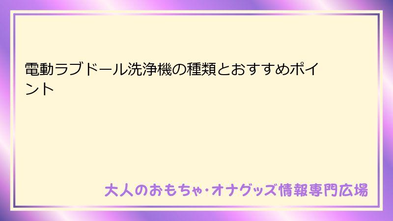電動ラブドール洗浄機の種類とおすすめポイント