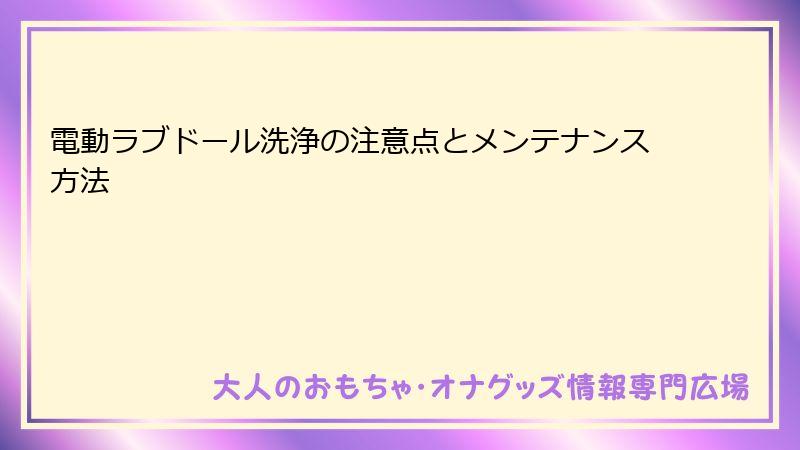 電動ラブドール洗浄の注意点とメンテナンス方法