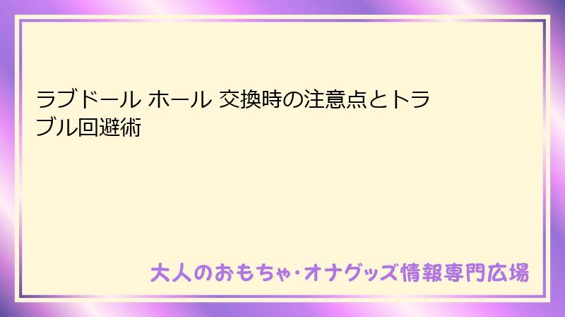 ラブドール ホール 交換時の注意点とトラブル回避術