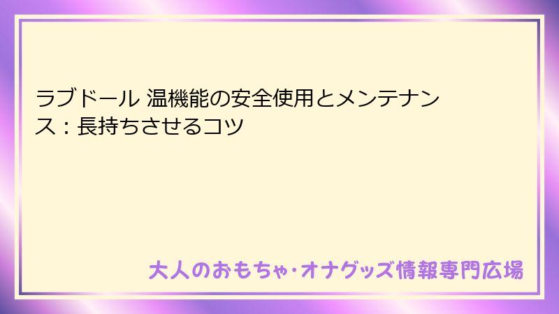 ラブドール 温機能の安全使用とメンテナンス:長持ちさせるコツ