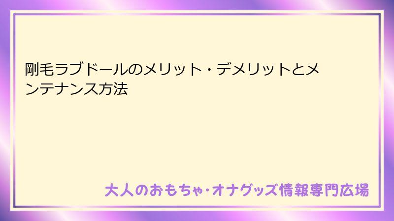 剛毛ラブドールのメリット・デメリットとメンテナンス方法