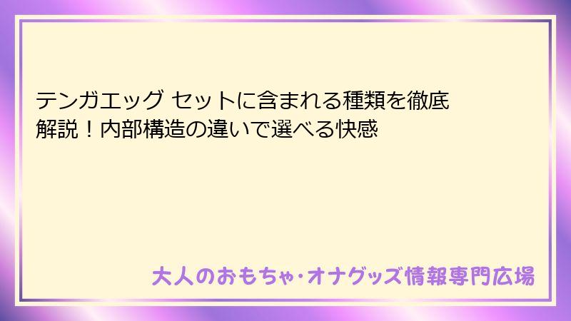 テンガエッグ セットに含まれる種類を徹底解説！内部構造の違いで選べる快感