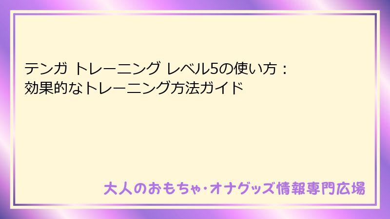 テンガ トレーニング レベル5の使い方:効果的なトレーニング方法ガイド
