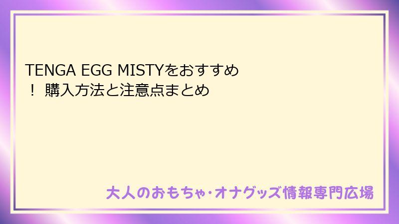 TENGA EGG MISTYをおすすめ! 購入方法と注意点まとめ