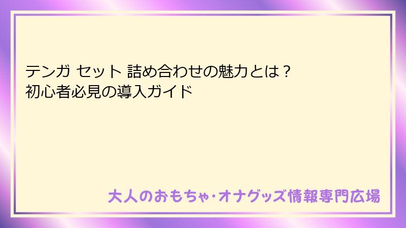 テンガ セット 詰め合わせの魅力とは? 初心者必見の導入ガイド