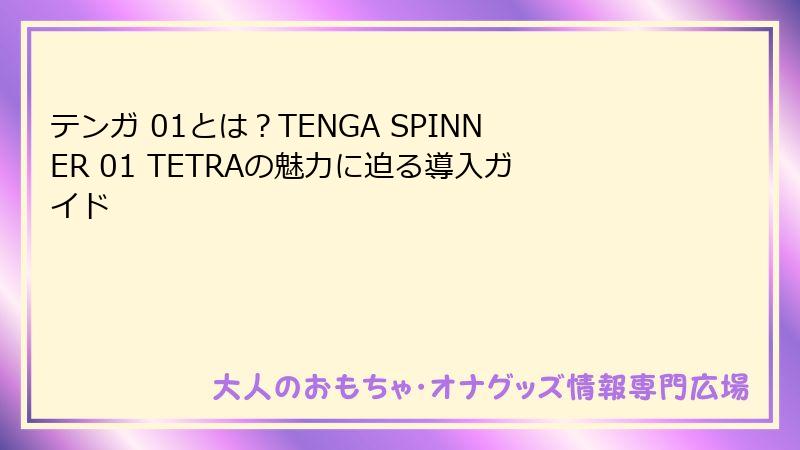 テンガ 01とは？TENGA SPINNER 01 TETRAの魅力に迫る導入ガイド