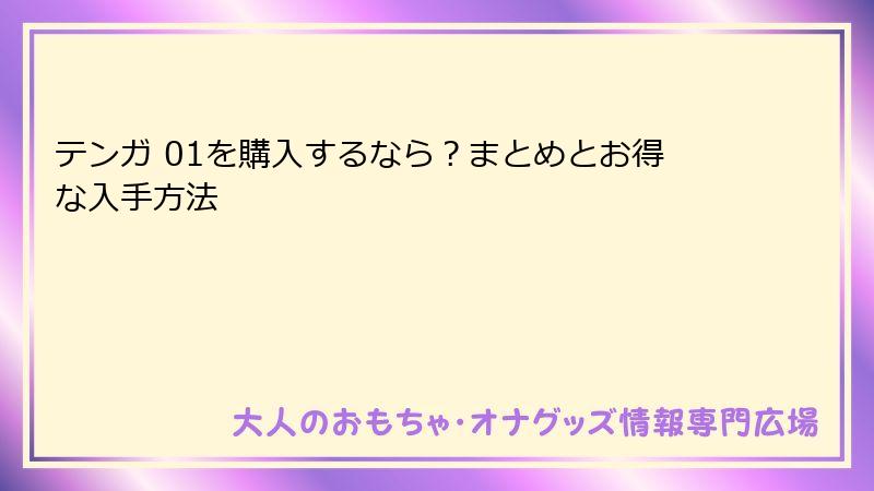 テンガ 01を購入するなら？まとめとお得な入手方法