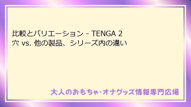 比較とバリエーション - TENGA 2穴 vs. 他の製品、シリーズ内の違い