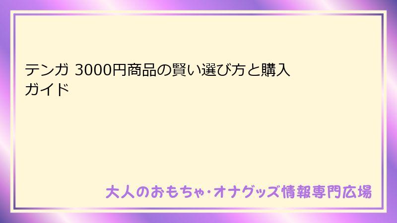 テンガ 3000円商品の賢い選び方と購入ガイド
