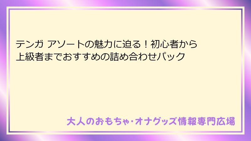 テンガ アソートの魅力に迫る!初心者から上級者までおすすめの詰め合わせパック