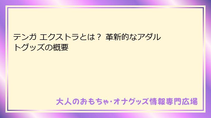 テンガ エクストラとは? 革新的なアダルトグッズの概要