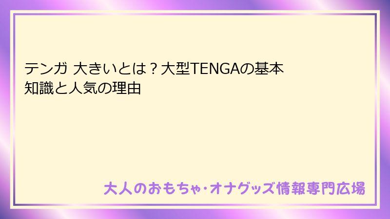 テンガ 大きいとは?大型TENGAの基本知識と人気の理由