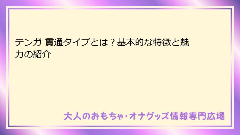 テンガ 貫通タイプとは?基本的な特徴と魅力の紹介