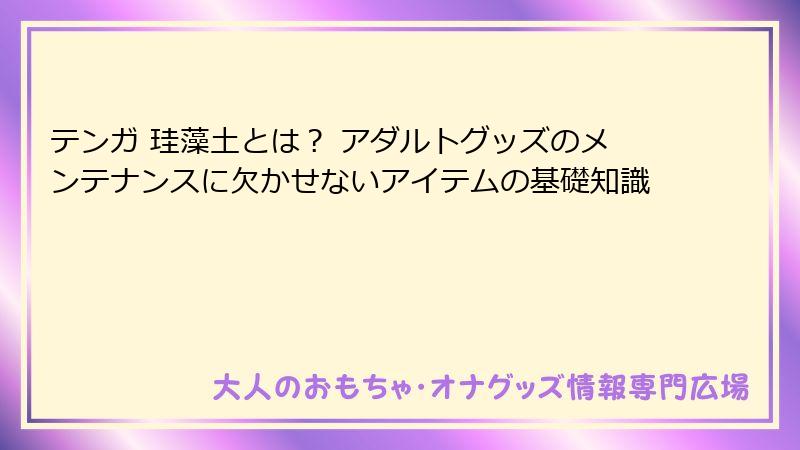テンガ 珪藻土とは？ アダルトグッズのメンテナンスに欠かせないアイテムの基礎知識
