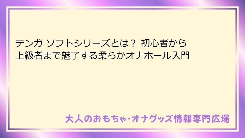 テンガ ソフトシリーズとは？ 初心者から上級者まで魅了する柔らかオナホール入門