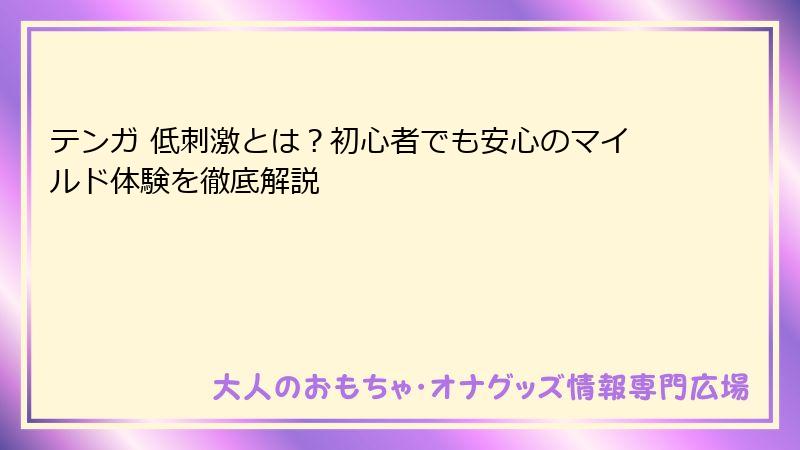 テンガ 低刺激とは?初心者でも安心のマイルド体験を徹底解説