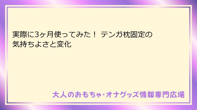 実際に3ヶ月使ってみた! テンガ枕固定の気持ちよさと変化