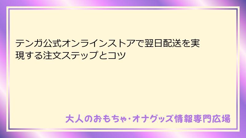 テンガ公式オンラインストアで翌日配送を実現する注文ステップとコツ