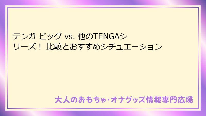 テンガ ビッグ vs. 他のTENGAシリーズ! 比較とおすすめシチュエーション