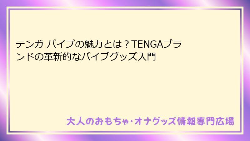 テンガ パイプの魅力とは？TENGAブランドの革新的なバイブグッズ入門