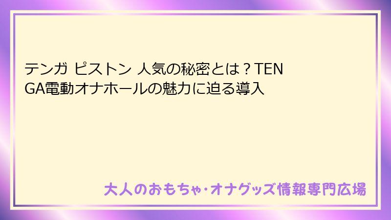 テンガ ピストン 人気の秘密とは?TENGA電動オナホールの魅力に迫る導入