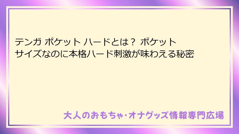 テンガ ポケット ハードとは？ ポケットサイズなのに本格ハード刺激が味わえる秘密