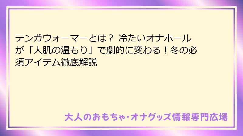 テンガウォーマーとは? 冷たいオナホールが「人肌の温もり」で劇的に変わる!冬の必須アイテム徹底解説