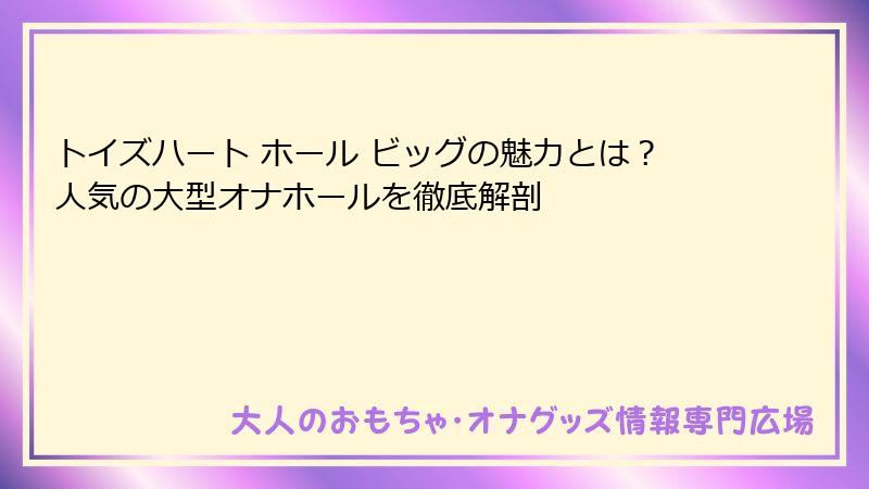 トイズハート ホール ビッグの魅力とは？人気の大型オナホールを徹底解剖